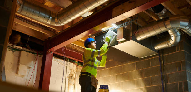 Best Local Air Duct Cleaning Services  in Luna Pier, MI