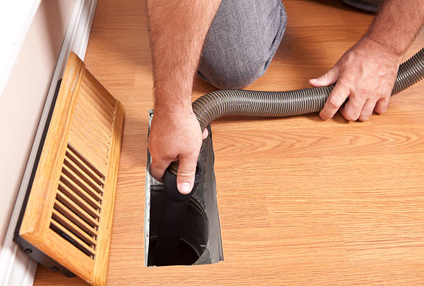Best Ductwork Cleaning Services  in Luna Pier, MI
