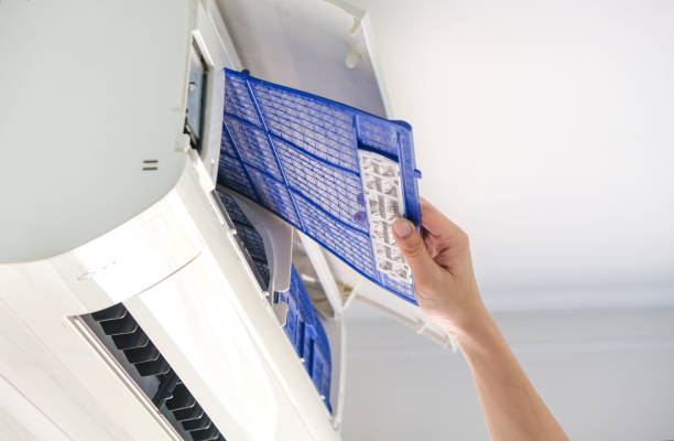 Best HVAC Air Duct Cleaning  in Luna Pier, MI