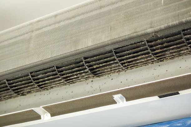 Professional Airduct Cleaning in Luna Pier, MI