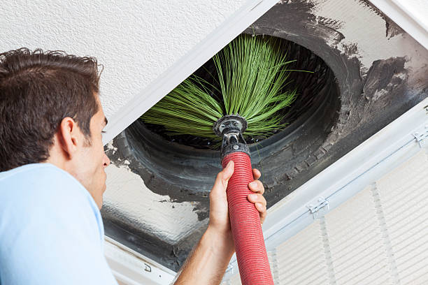 Best HVAC System Cleaning  in Luna Pier, MI