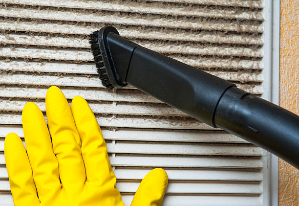 Best Air Duct Cleaning Near Me  in Luna Pier, MI