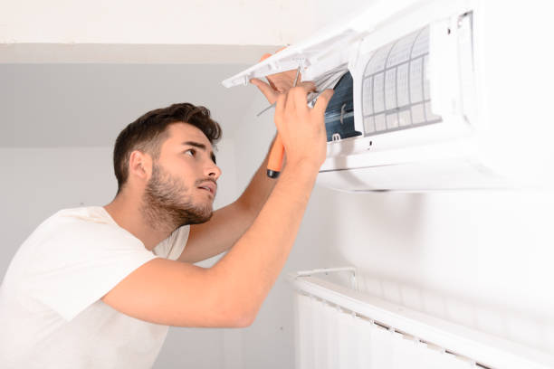 Best Emergency Air Duct Cleaning  in Luna Pier, MI