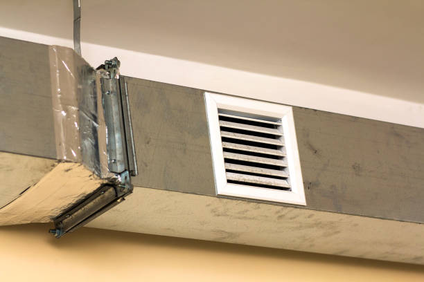 Best Residential Air Duct Cleaning  in Luna Pier, MI
